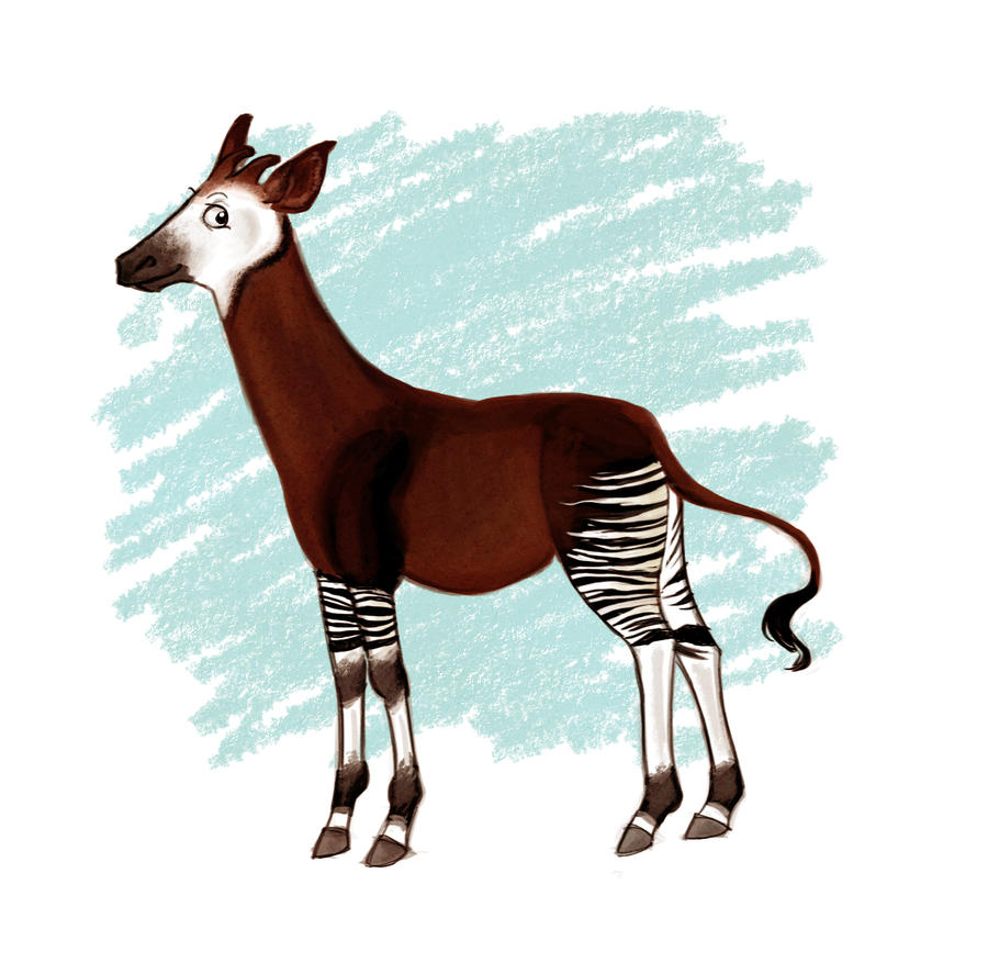 Okapi by candidae on DeviantArt