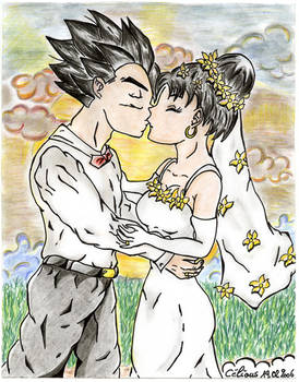 gohan videl's wedding