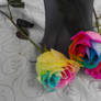 Rainbow Roses IV