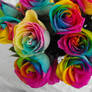 Rainbow Roses V