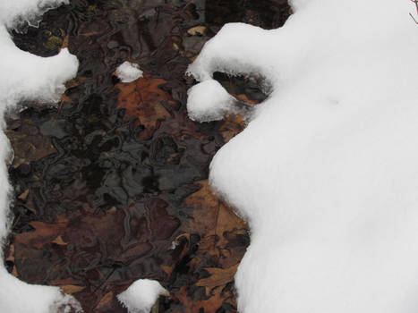 Frozen creek