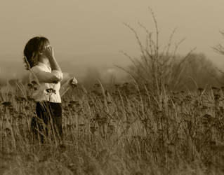 Wind from the moors