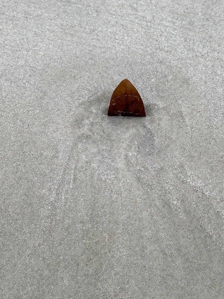 Leaf in the sand by kuroanime on DeviantArt