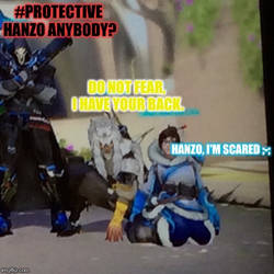 #ProtectiveHanzo Anybody?