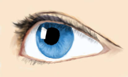 Eye