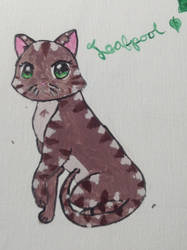 Leafpool from warriors.