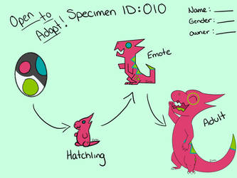 OTA! Specimen ID: 010 Looking for a home!