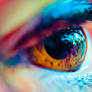 Eye Close-Up