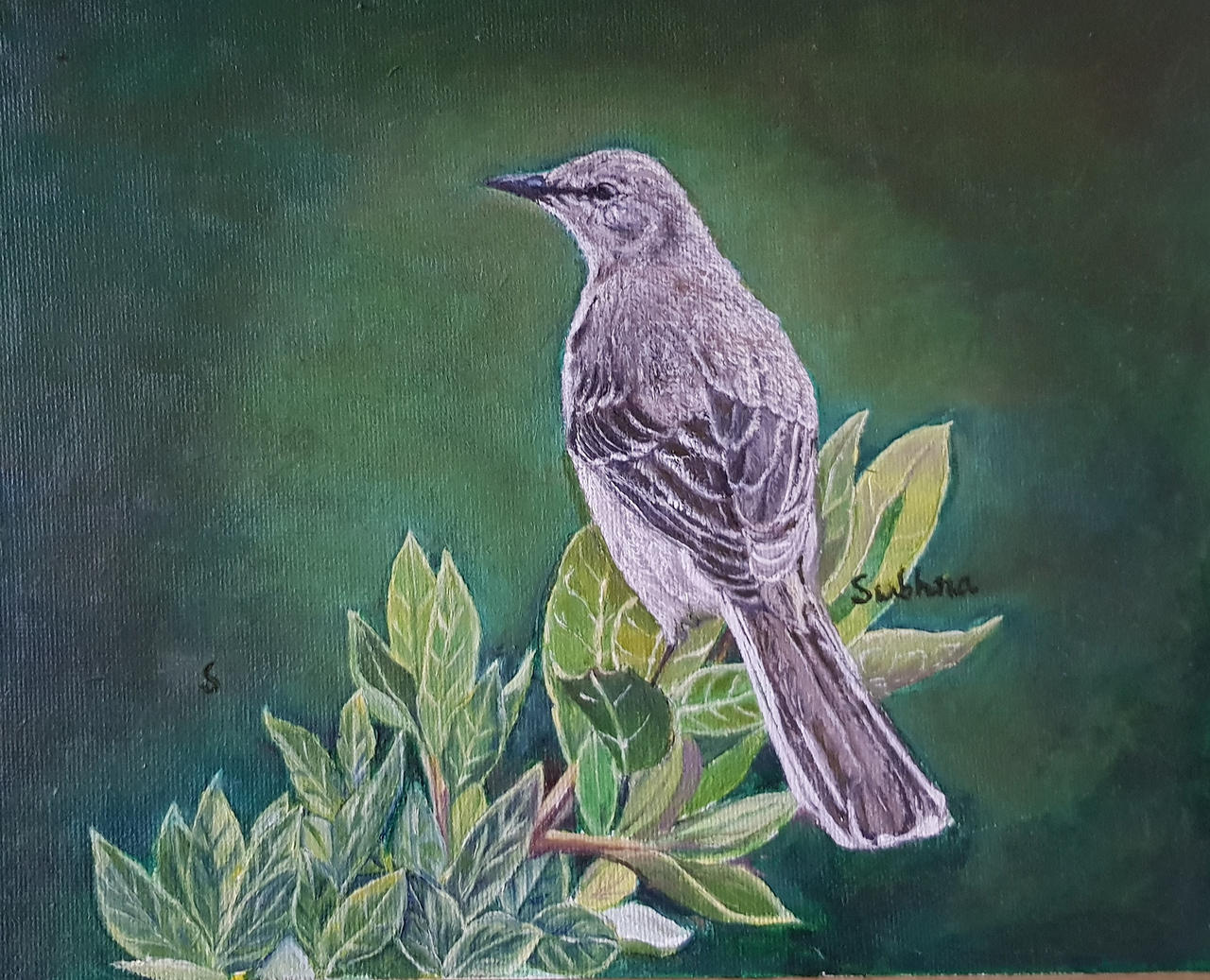 bird , oil painting