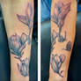 Magnolia Tattoo