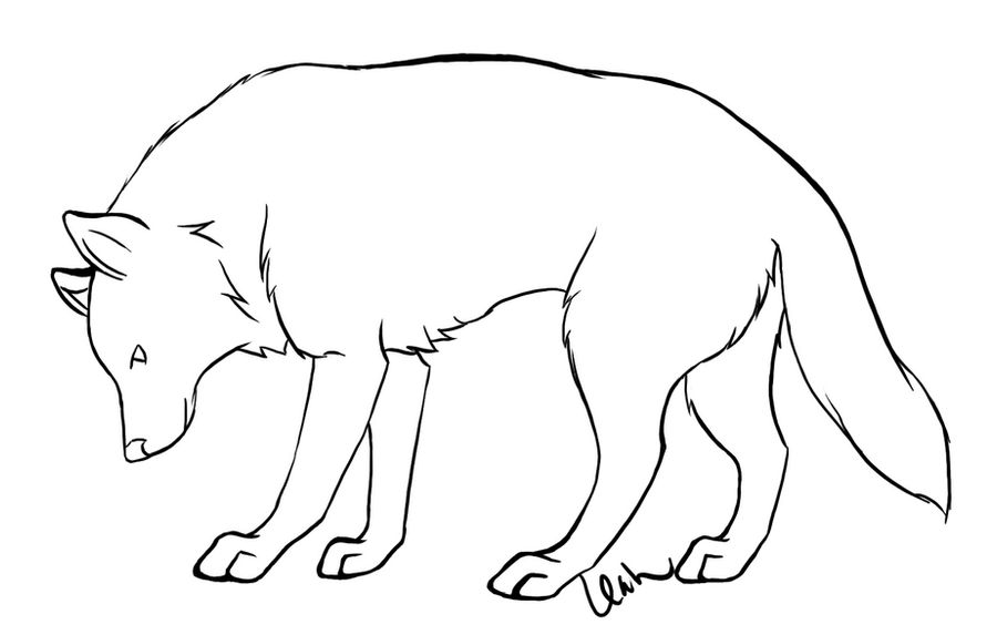 Basic Wolf Lineart Wolf Lineart by idirae on DeviantArt