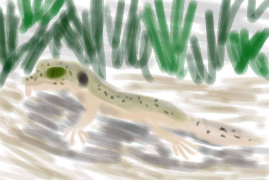 Gecko Deviantart Leopard Gecko by A-Young-Stalker on DeviantArt