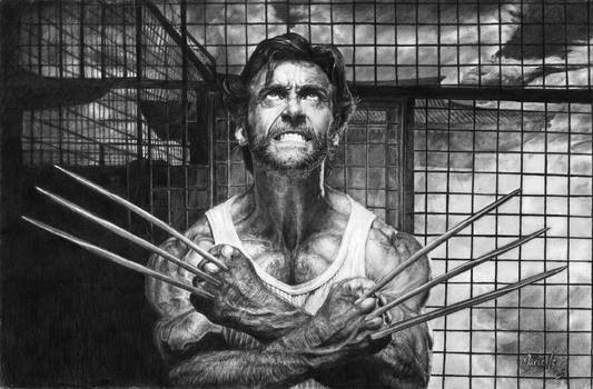 Wolverine