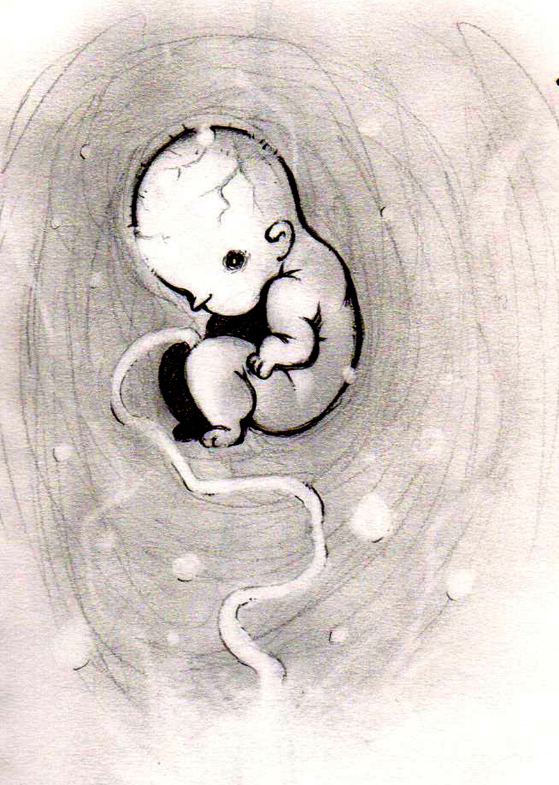 Grey Fetus