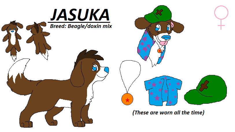 Jasuka Ref