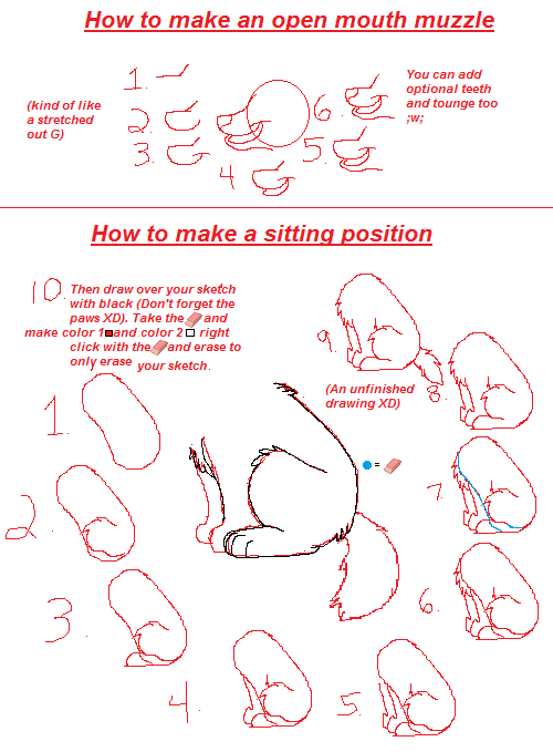 How to make a sitting position/open mouth muzzle