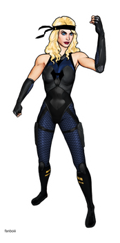 Black Canary - DC New 52 Remake Character Design