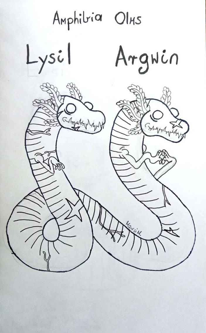 Angwin Amphibia Lysil and Argwin from Amphibia by MarciOwO on DeviantArt