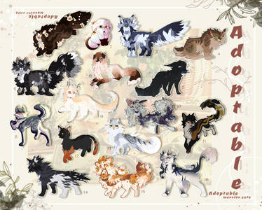 Warrior cats adoptable Big collab! [ OPEN ]