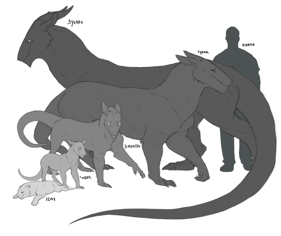Felkin Felkin Size Chart by LeachyMonster on DeviantArt