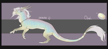 Felkin adoptable : Opal