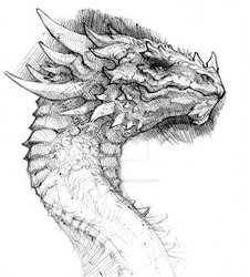 'Winged Helm' Dragon
