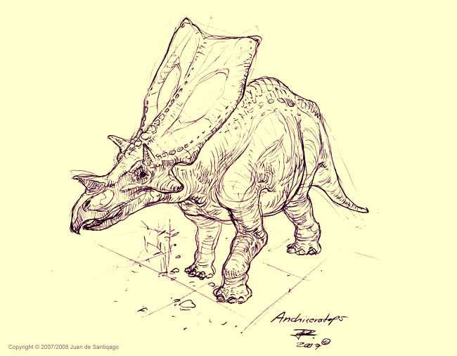 Anchiceratops Sketch by Red-Dilopho