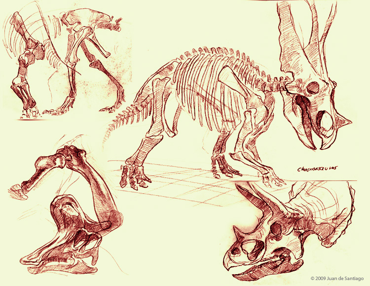 Museum Sketches 3