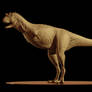 Carnotaurus Sastrei 3D Model
