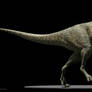 Carnotaurus sastrei 2 (textured)