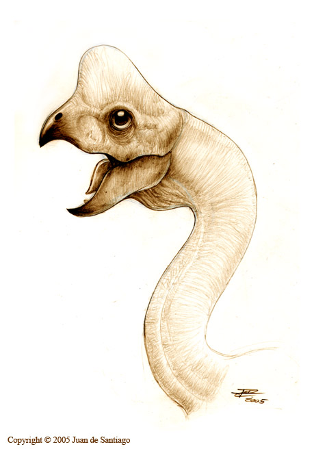 Oviraptor Portrait