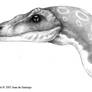 Velociraptor Portrait