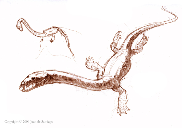 Keichousaurus sketches