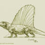 Dimetrodon Sketch