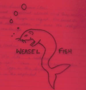 WEASEL FISH WEASEL FISH