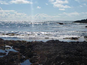 Yaquina Lighthouse Pebble Beach