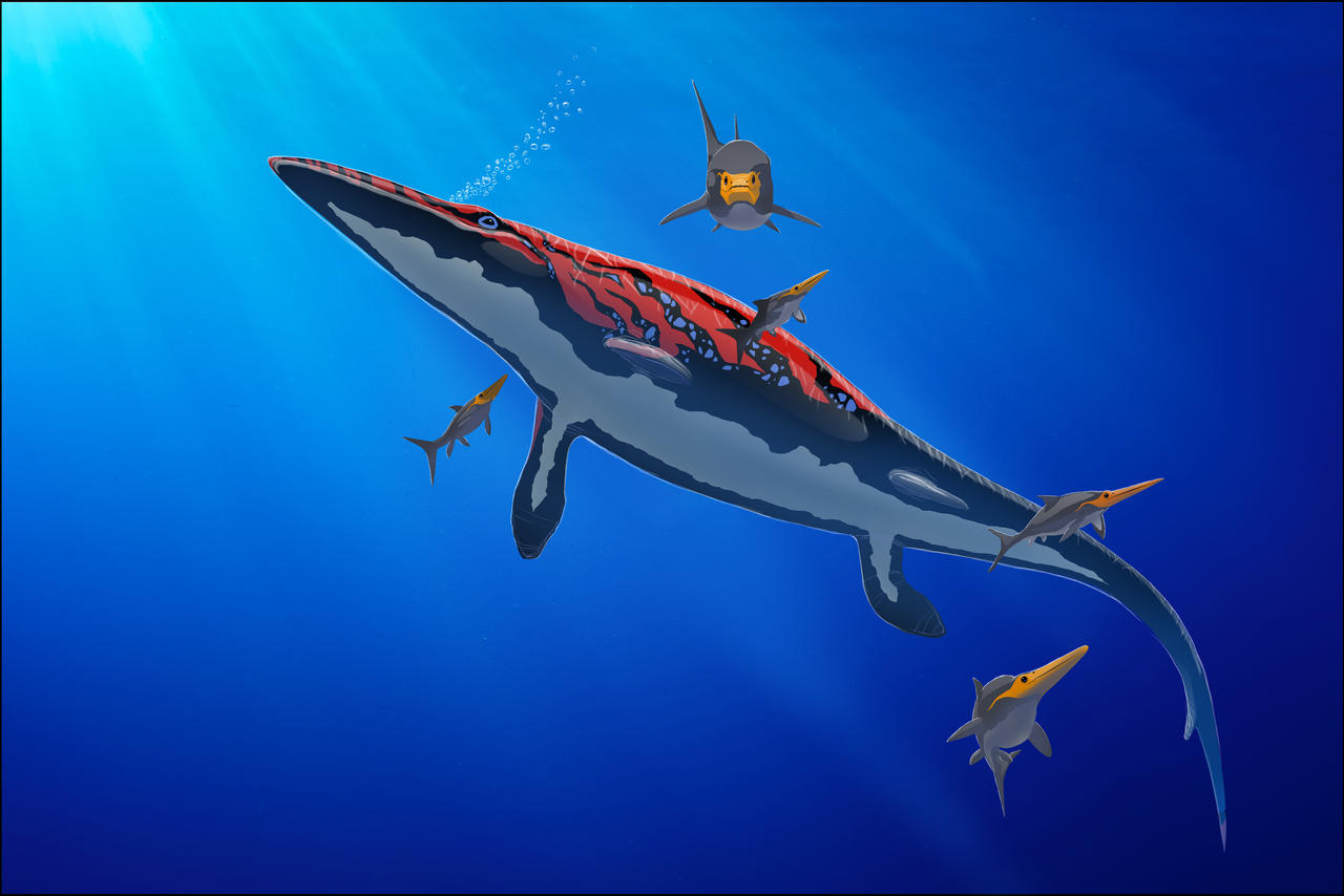 Mosasaurus by raptoryx13 on DeviantArt