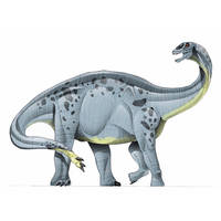 Shunosaurus02