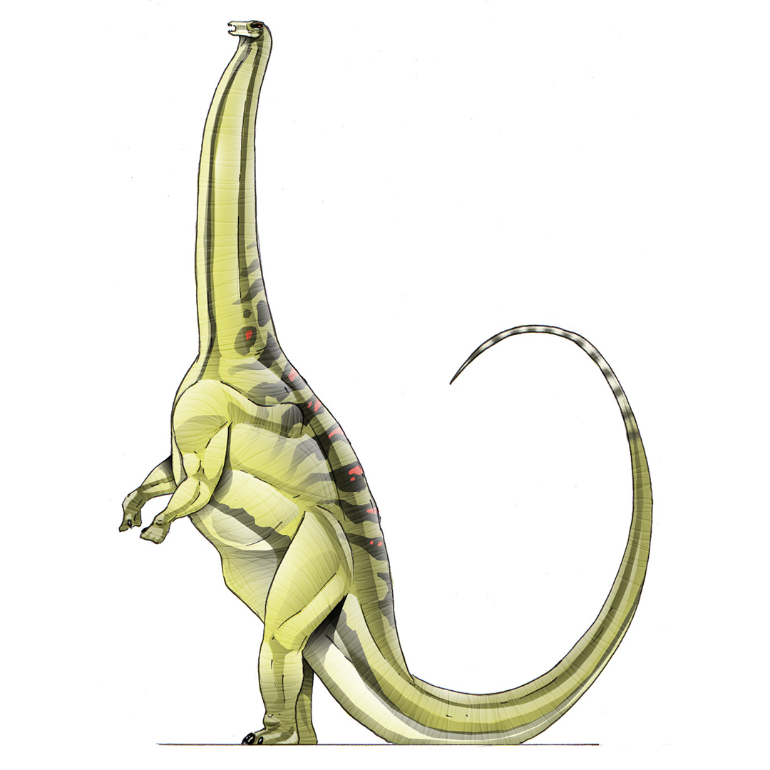 Brontosaurus Run Brontosaurus02 by raptoryx13 on DeviantArt