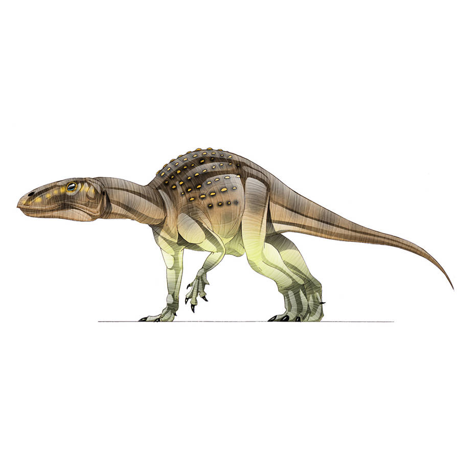 Emurus Body Emausaurus02 by raptoryx13 on DeviantArt