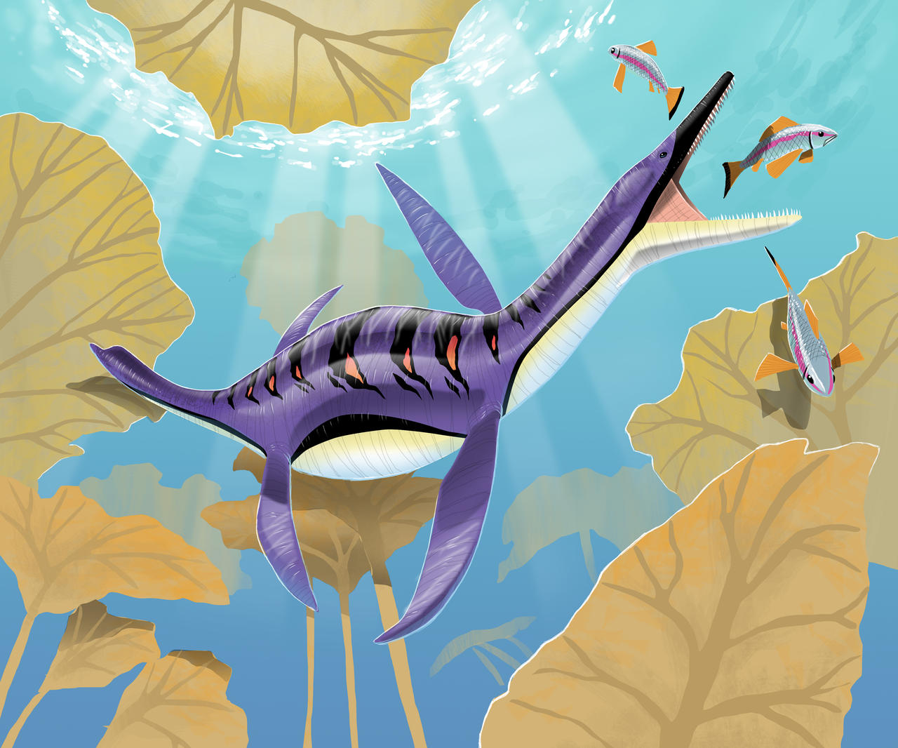 Polycotyus Polycotylus by raptoryx13 on DeviantArt