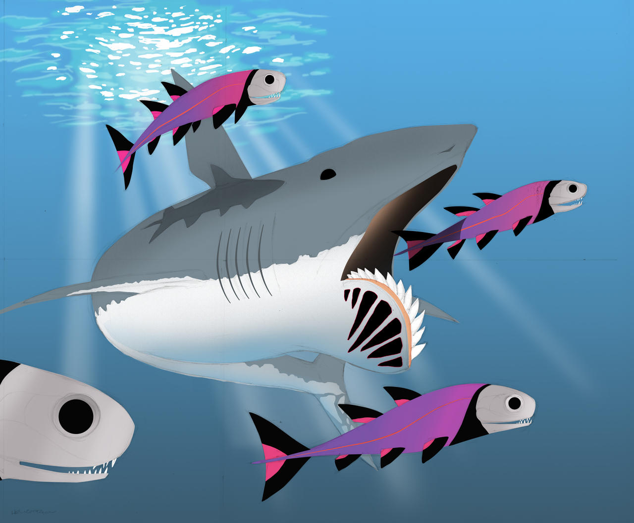 Helipcorn Helicoprion by raptoryx13 on DeviantArt