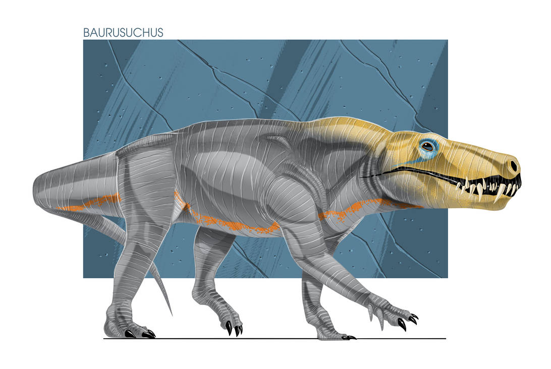 Baurusuchus Baurusuchus by raptoryx13 on DeviantArt