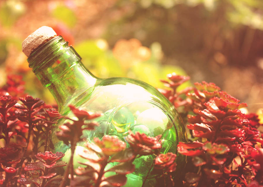 Pretty much like you in bottle... by GloomySisterhood