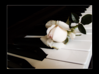 .: farewell to the pianist :.