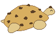 Cookie Turtle