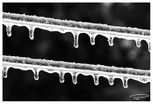 Icy Line