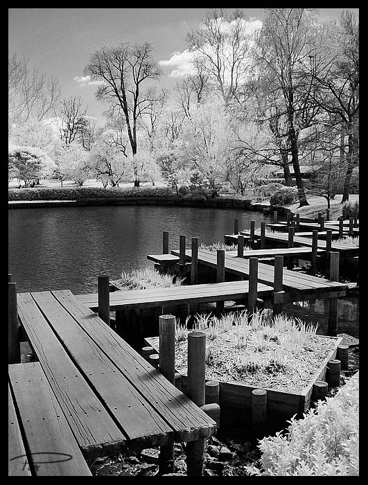 Crooked Bridge--IR