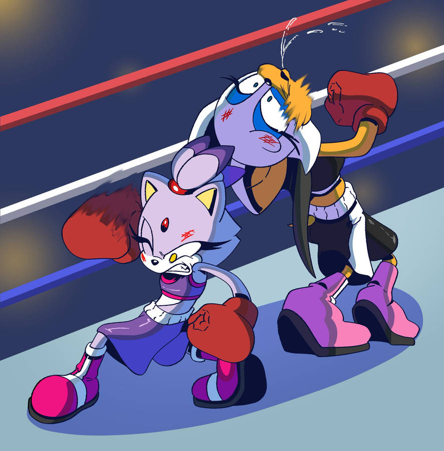 Feline Rouge Blaze The Cat Vs Rouge The Bat (BOXING) - COMM (2) by HeroSmacker on ...