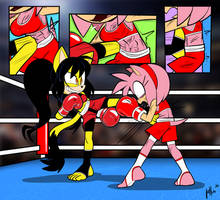 Amy Rose Vs Honey the Cat (KICKBOXING) - COMM